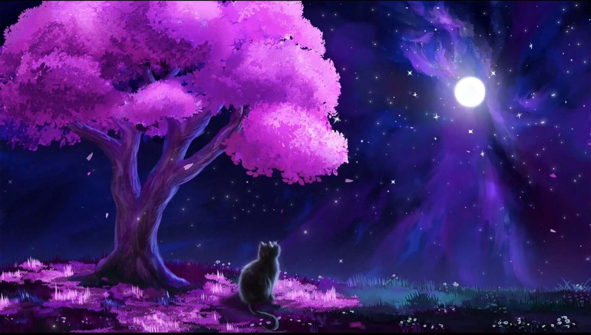 Animated Scenes Black Cat at Sakura Night - Overlay - Stream K-Arts