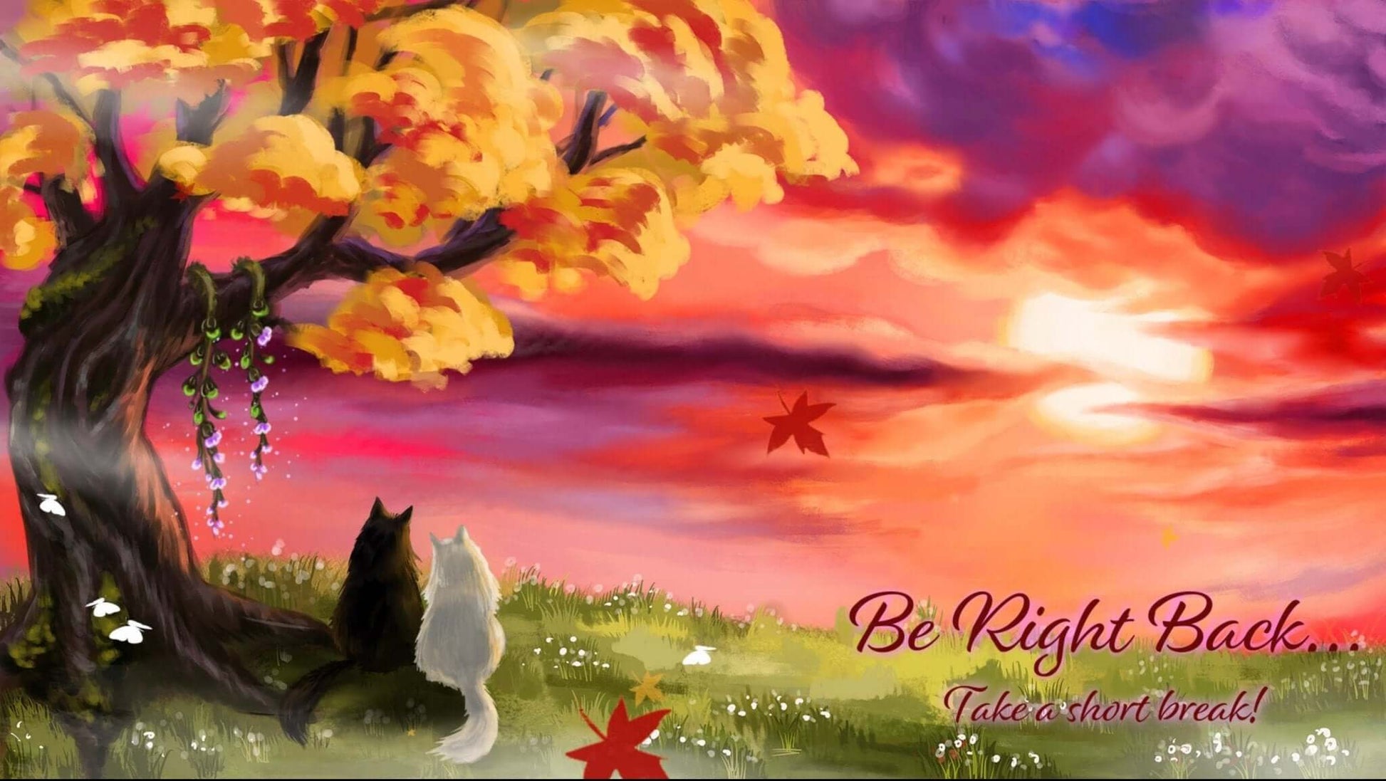 Animated Scenes Cats in Fall Sunset - Overlay - Stream K-Arts