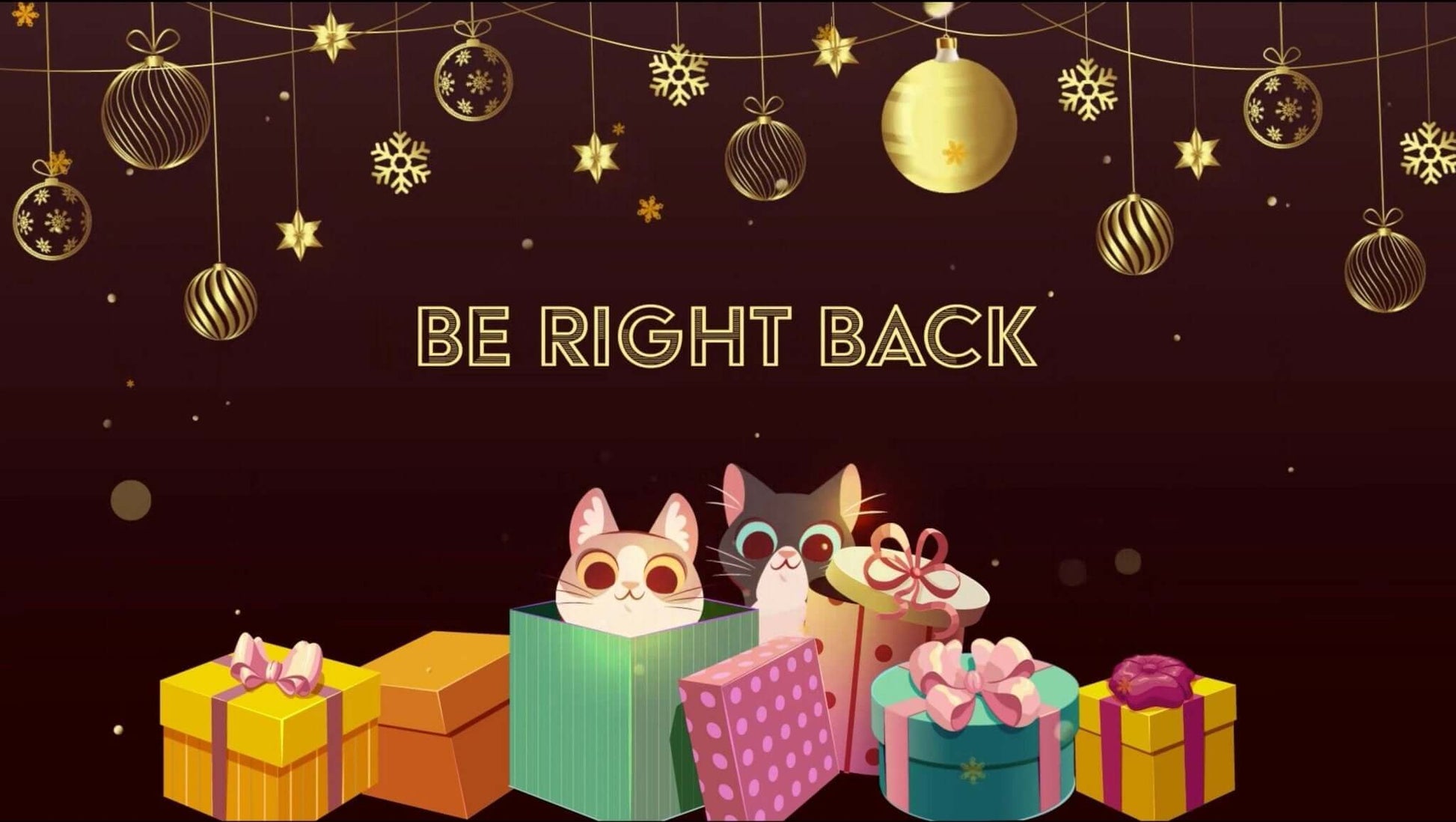 Animated Scenes Merry Christmas Cute Hiding Cats in Gift Boxes - Overlay - Stream K-Arts