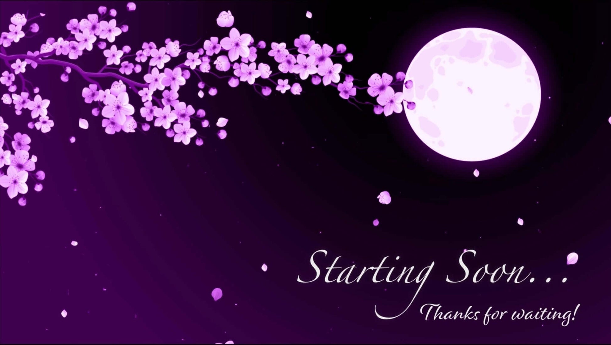 Animated Scenes Purple Sakura and Moon - Overlay - Stream K-Arts
