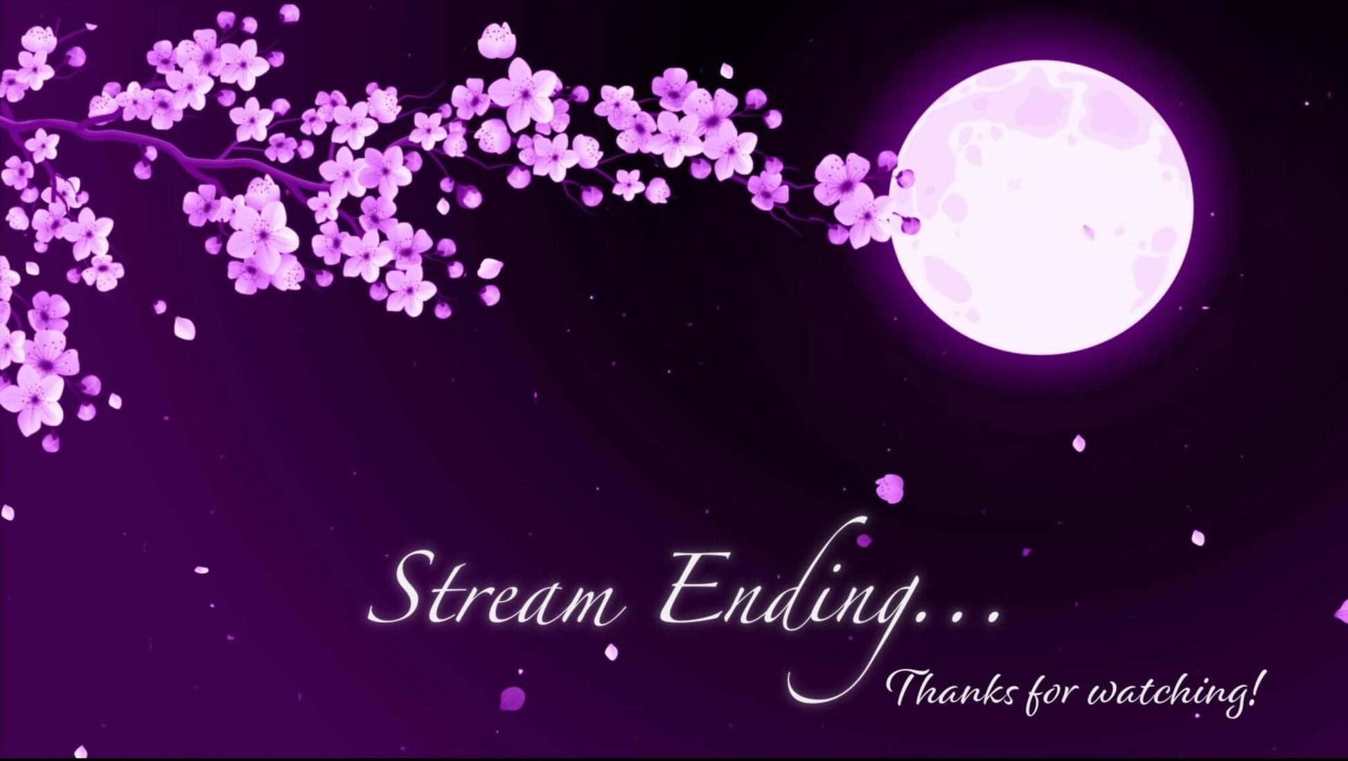 Animated Scenes Purple Sakura and Moon - Overlay - Stream K-Arts