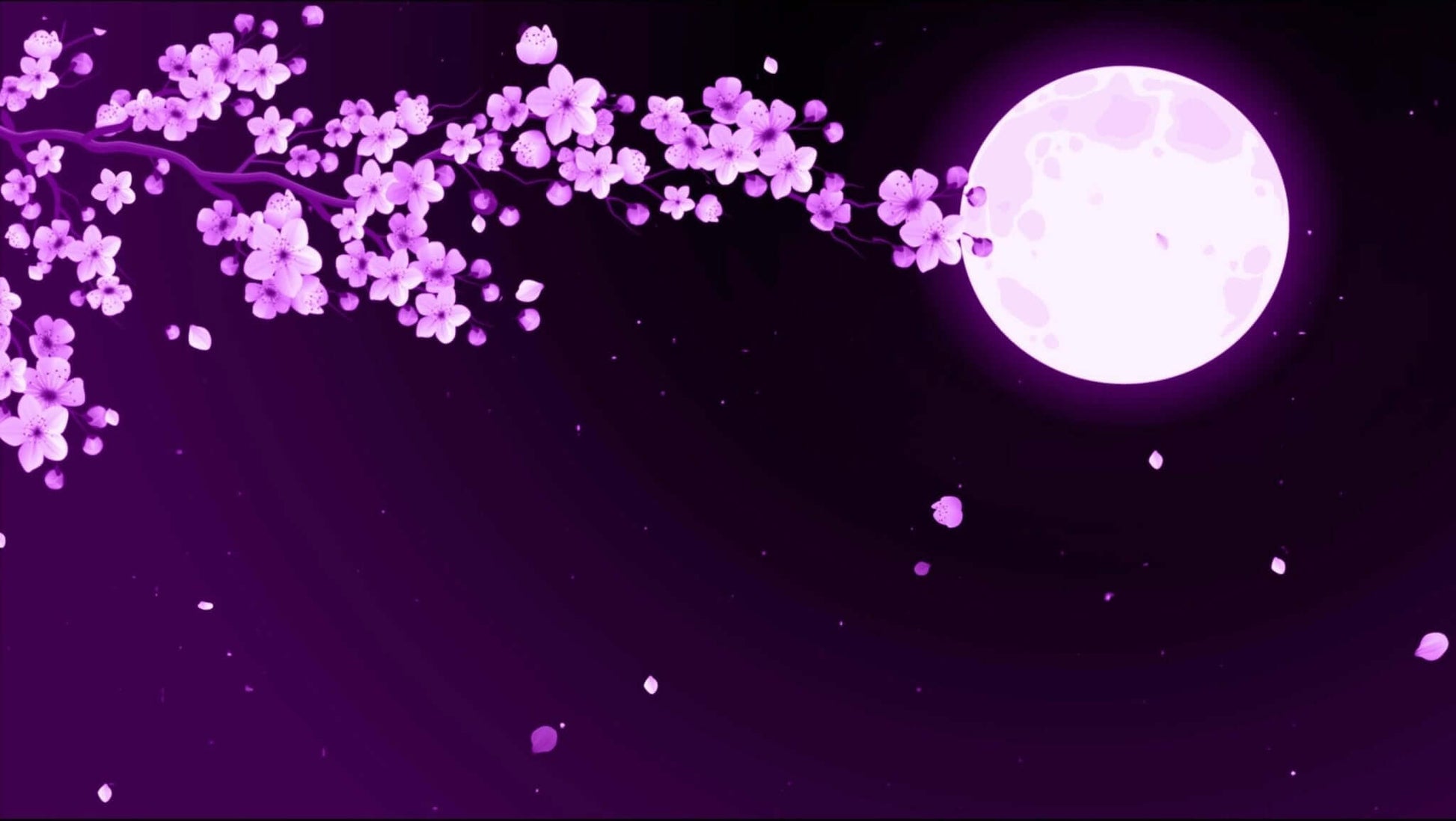 Animated Scenes Purple Sakura and Moon - Overlay - Stream K-Arts