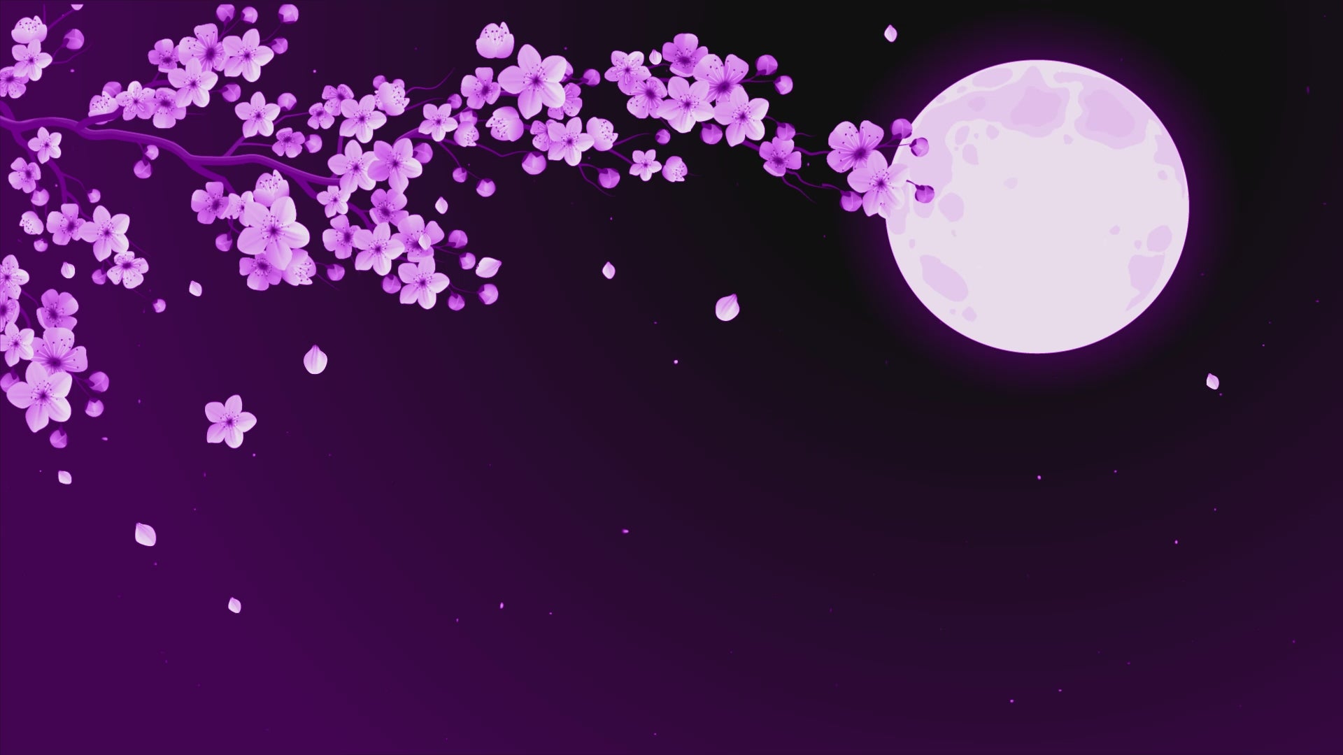 Animated Scenes Purple Sakura and Moon