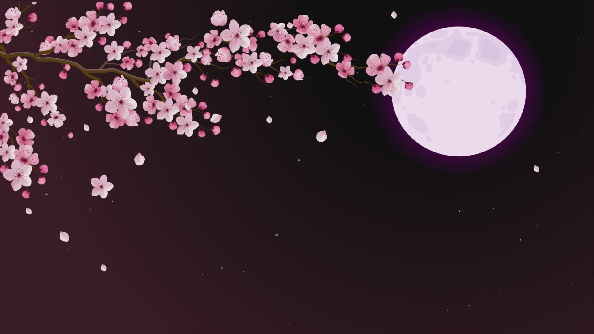 Animated Scenes Pink Sakura and Moon