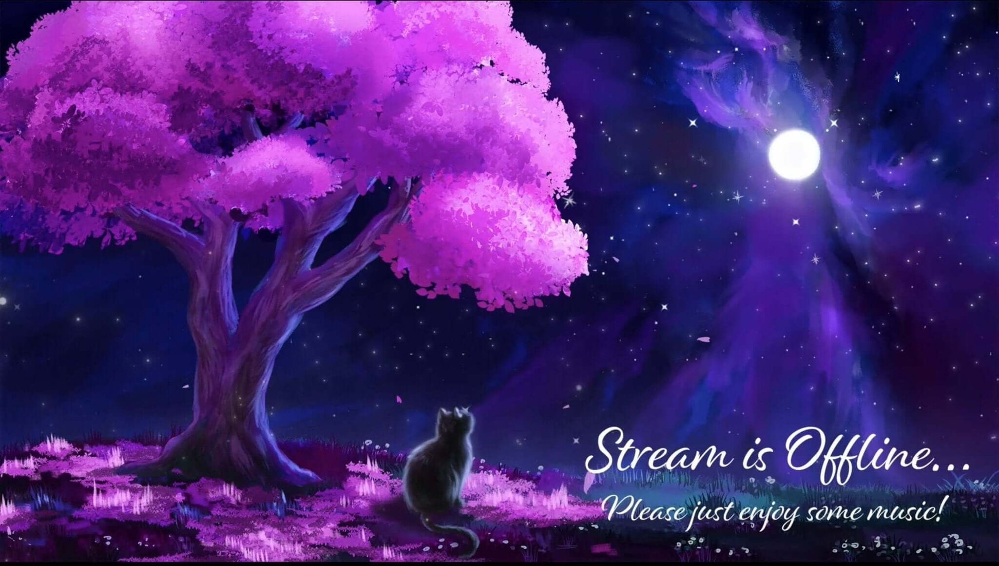 Animated Scenes Black Cat at Sakura Night - Overlay - Stream K-Arts