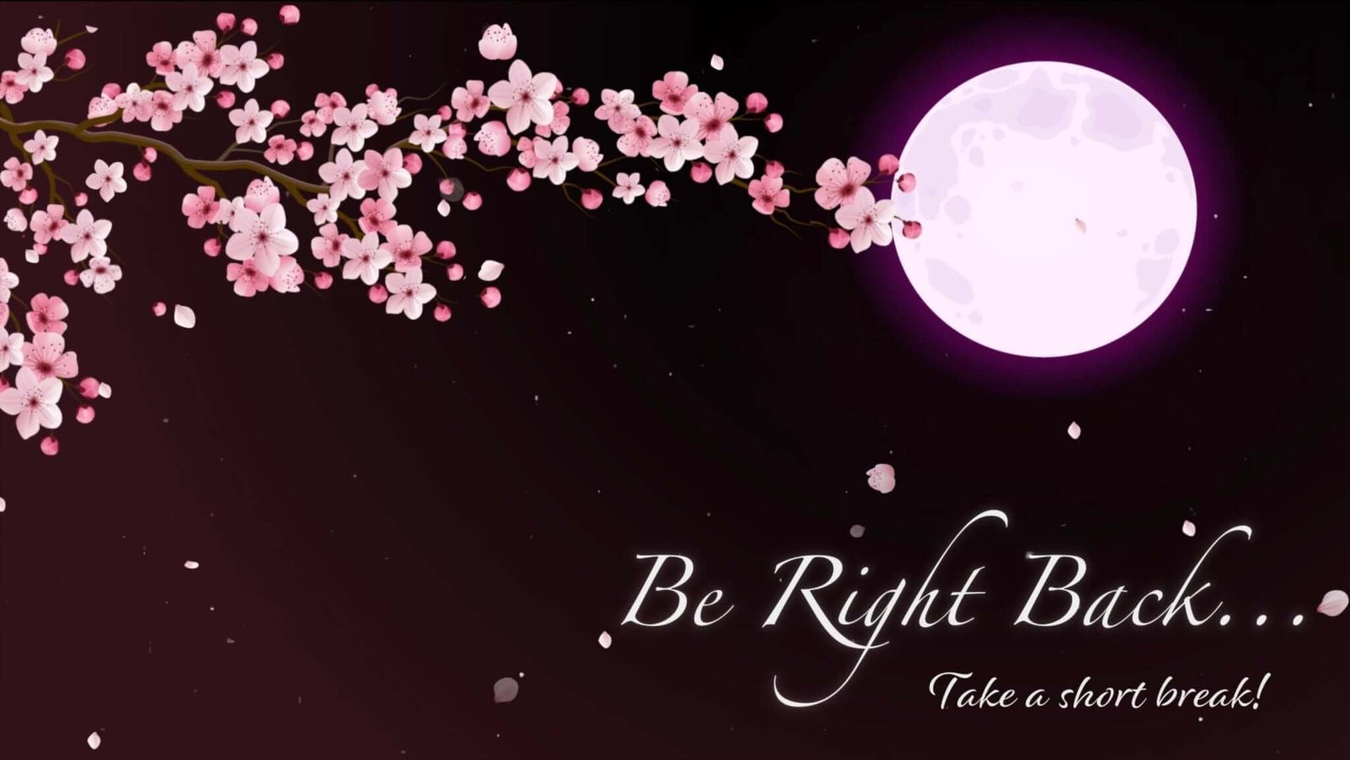 Animated Scenes Pink Sakura and Moon - Overlay - Stream K-Arts